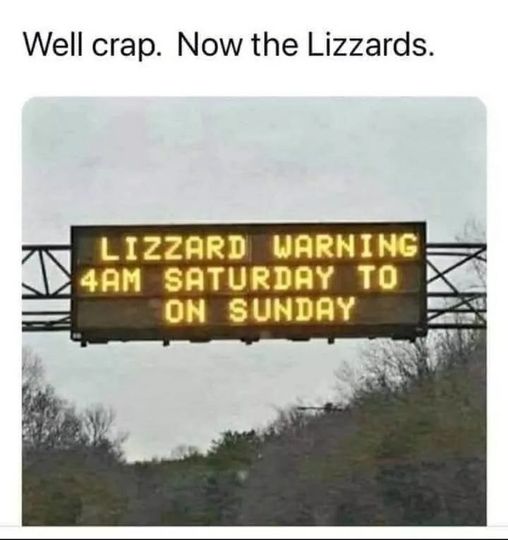 Now the lizzards