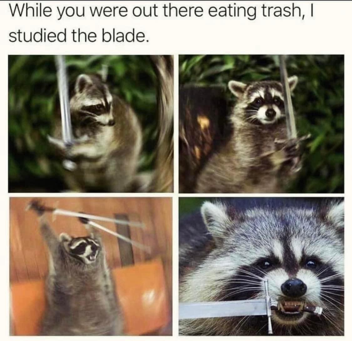 Out tehre eating trash