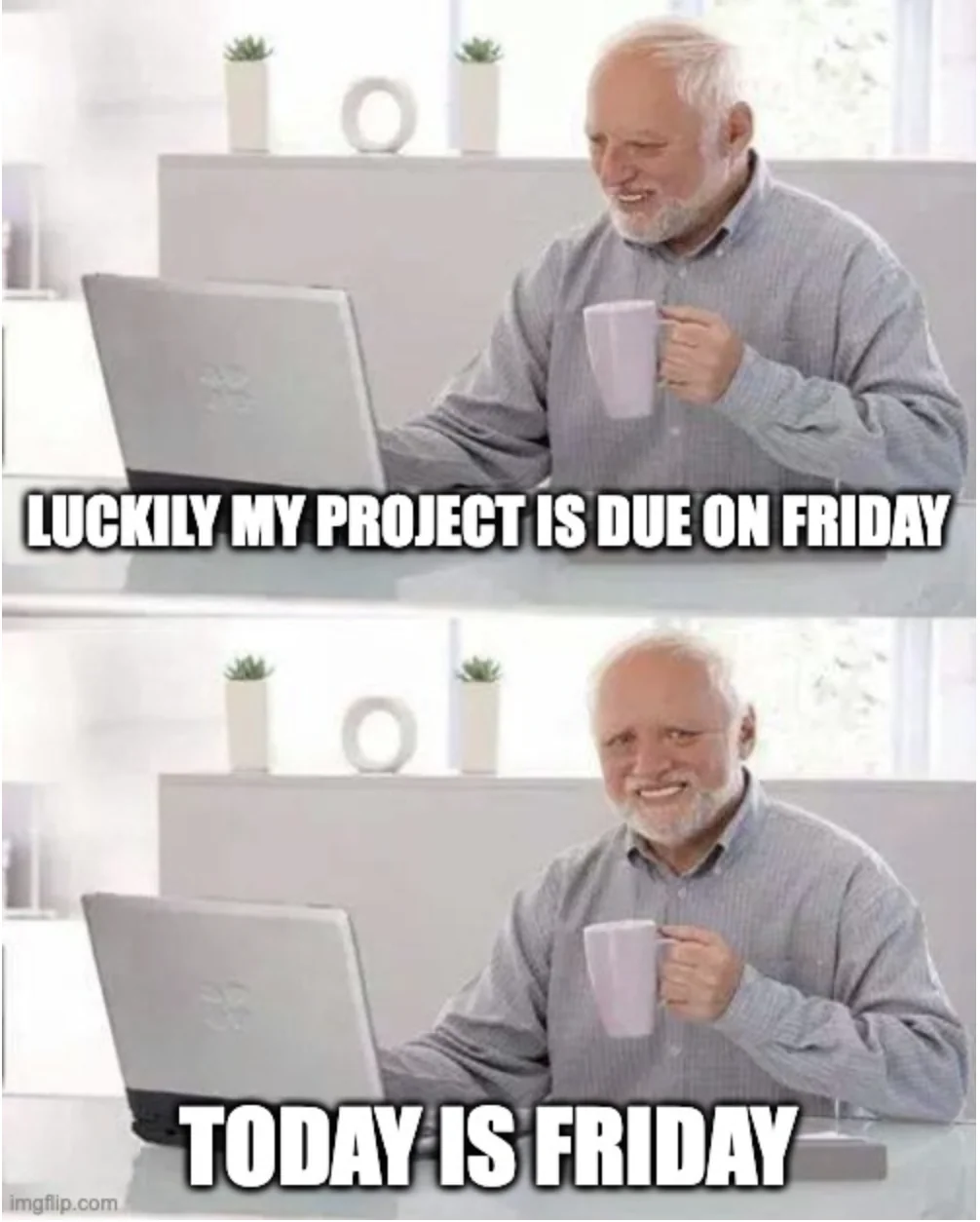 Project is due