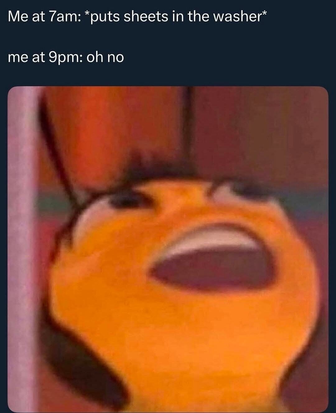 39 Dank Memes That Are So Dank, They Should Be Illegal 41 Puts sheet in washer