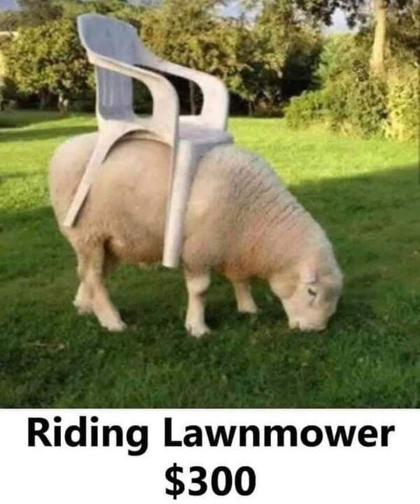 Riding lawnmover - FG