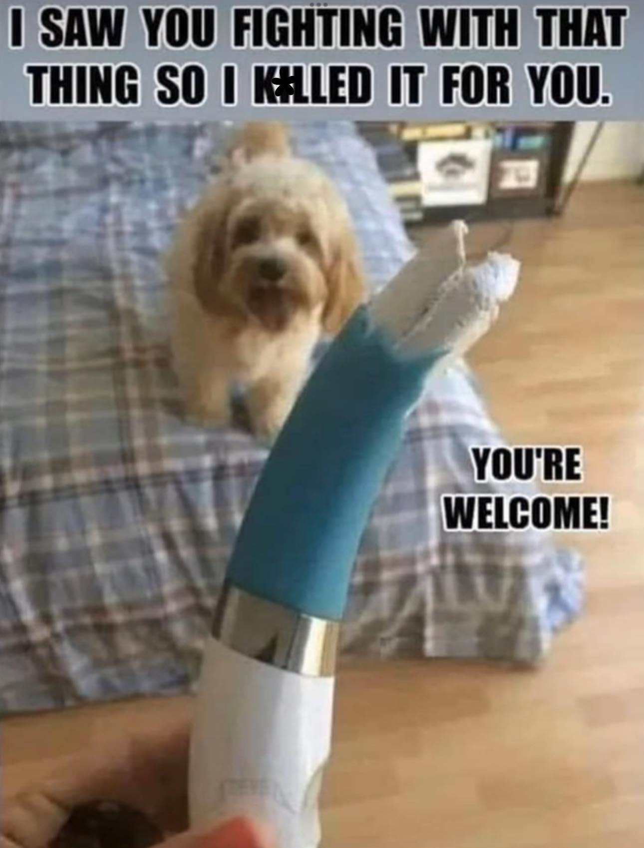 Saw you fighting with that thing