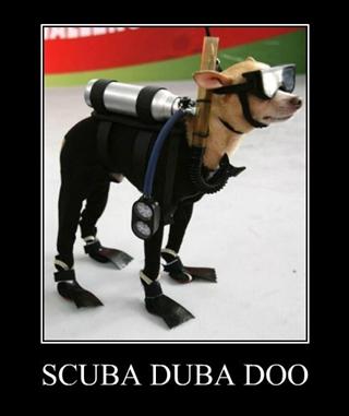 25 Scuba Memes to Dive Into on International Scuba Day 27 Scuba duba doo