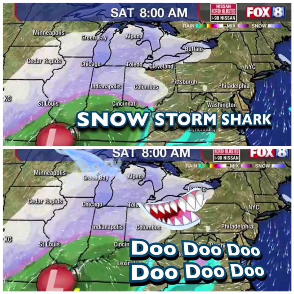 Snow storm shark