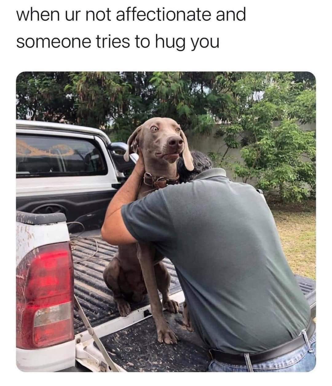 20 Similar Memes That Spill Your Secrets Casually 13 Someone tries to hug you