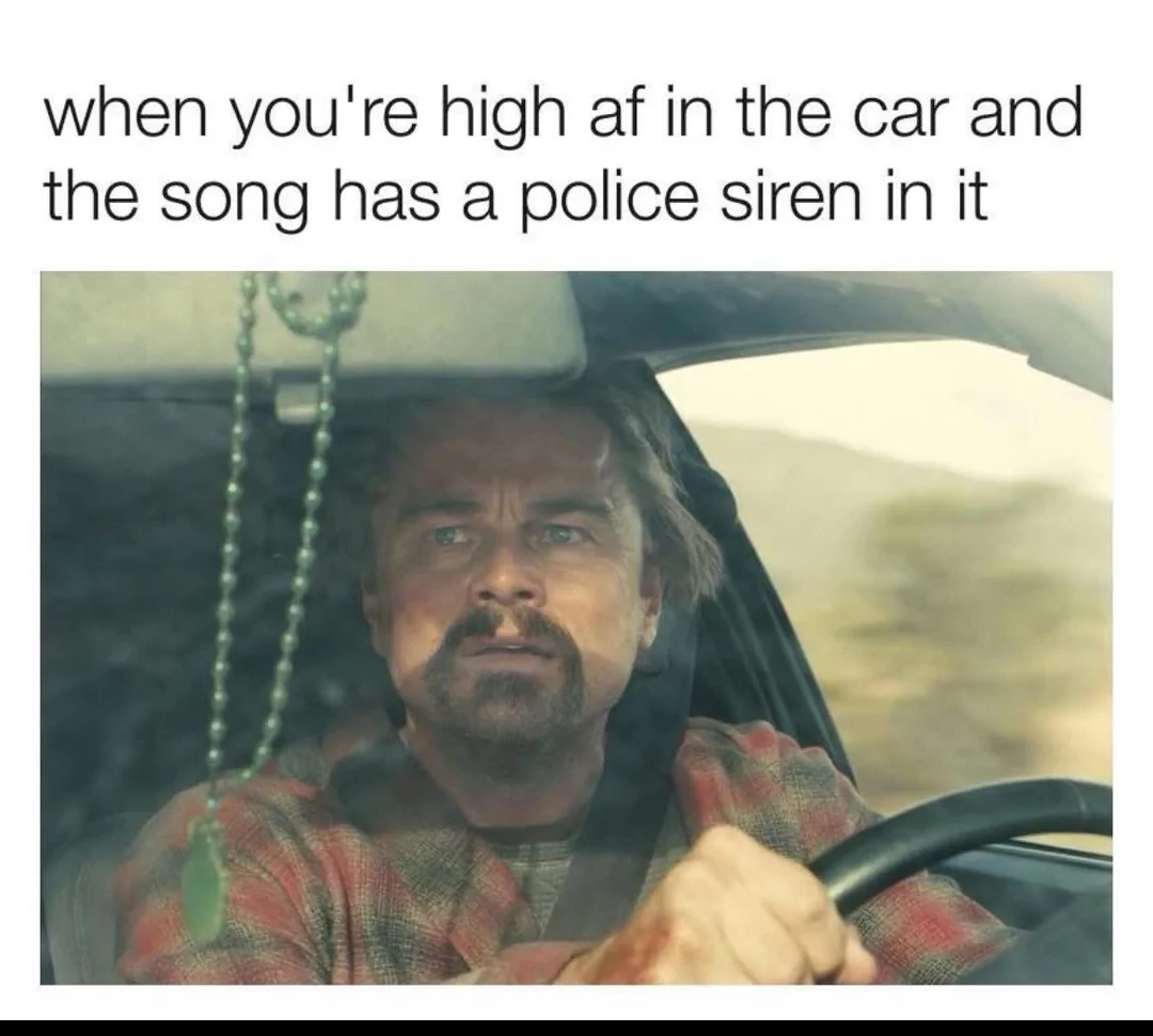 40 Stoner Memes That Will Make You Laugh All The Way To Galaxy 42 Song has a police siren