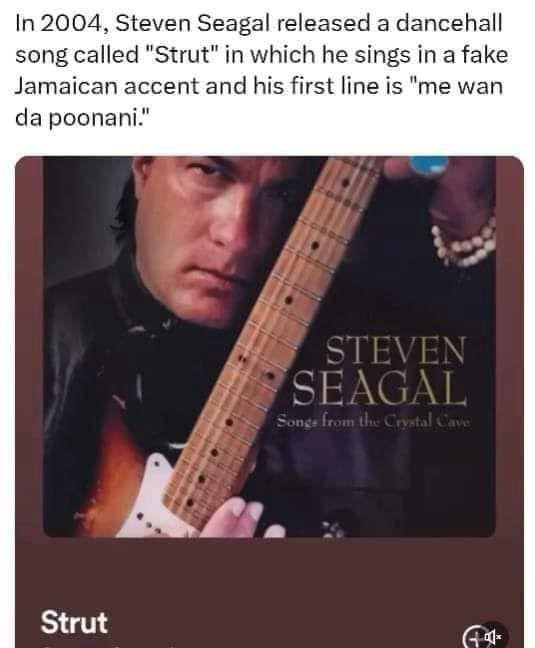 Steven seagal song