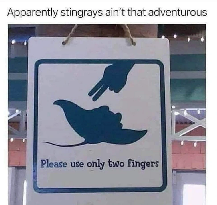 Stingrays aint that adventurous