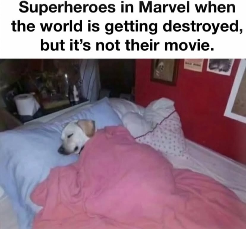 45 Dankest Memes You Need To See Before The Weekend 50 Superheros in marvel