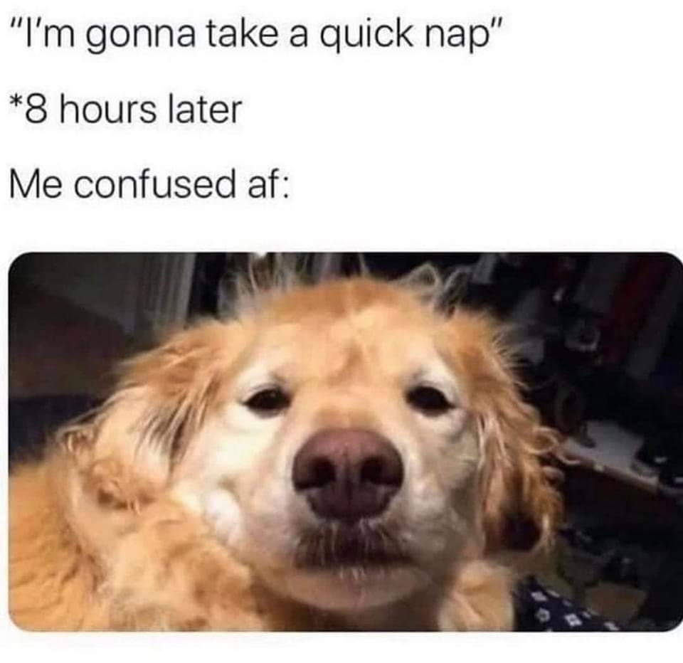 20 Similar Memes That Spill Your Secrets Casually 15 Take a quick nap