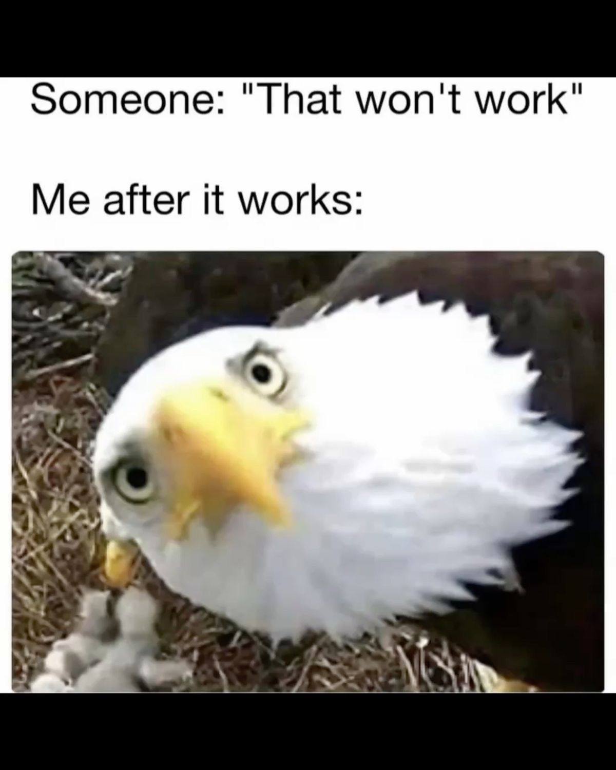 20 Memes Too Grown, Too Unhinged, and Way Too Funny 11 That wont work