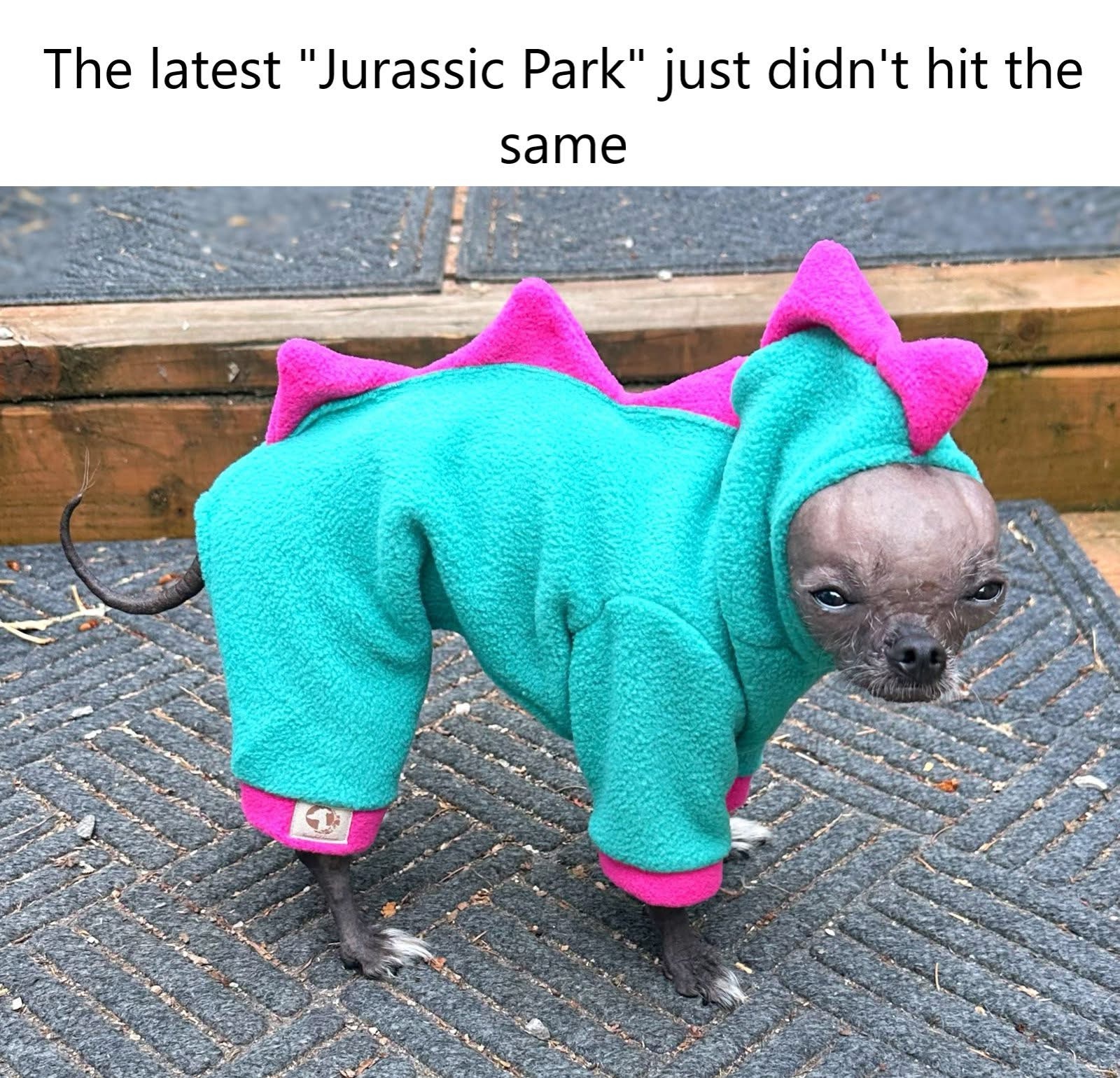 20 Memes That Only Make Sense If You Don’t Use Logic 13 The latest jurrasic park