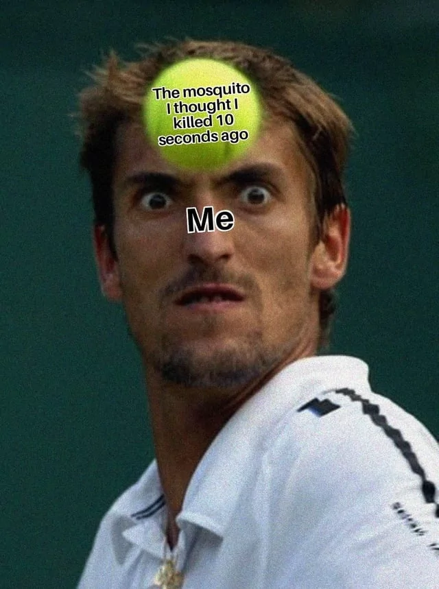40 Mosquito Memes That Will Have You Itching with Laughter on World Mosquito Day 41 The mosquito I thaught