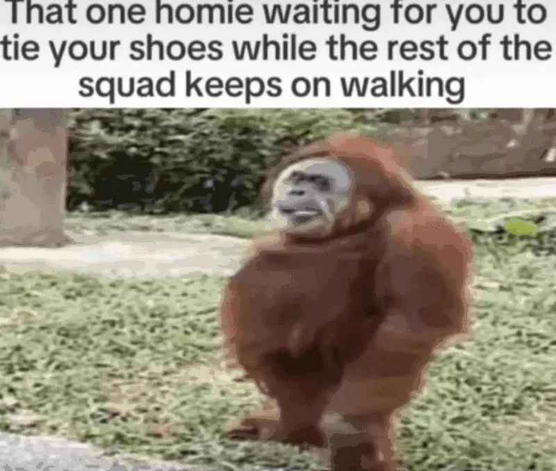 20 Orangutan Memes to Celebrate World Orangutan Day! 20 The one homie waiting