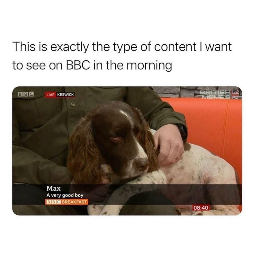 This is exactly the type of content