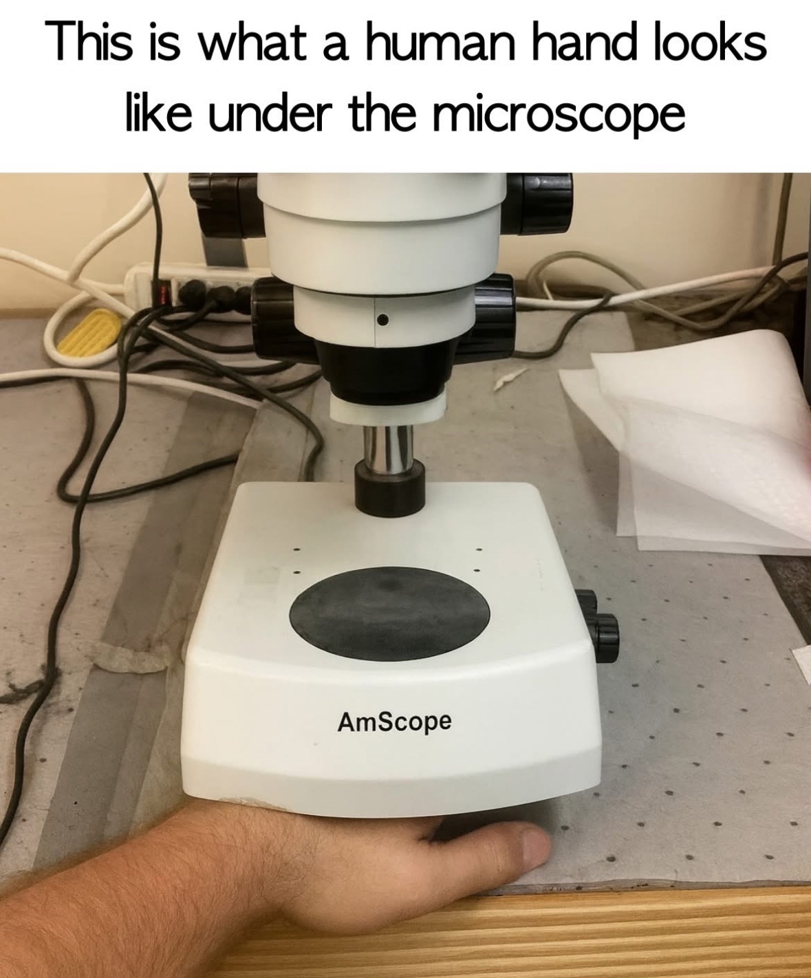 20 Memes Too Grown, Too Unhinged, and Way Too Funny 14 This is what human hand looks like