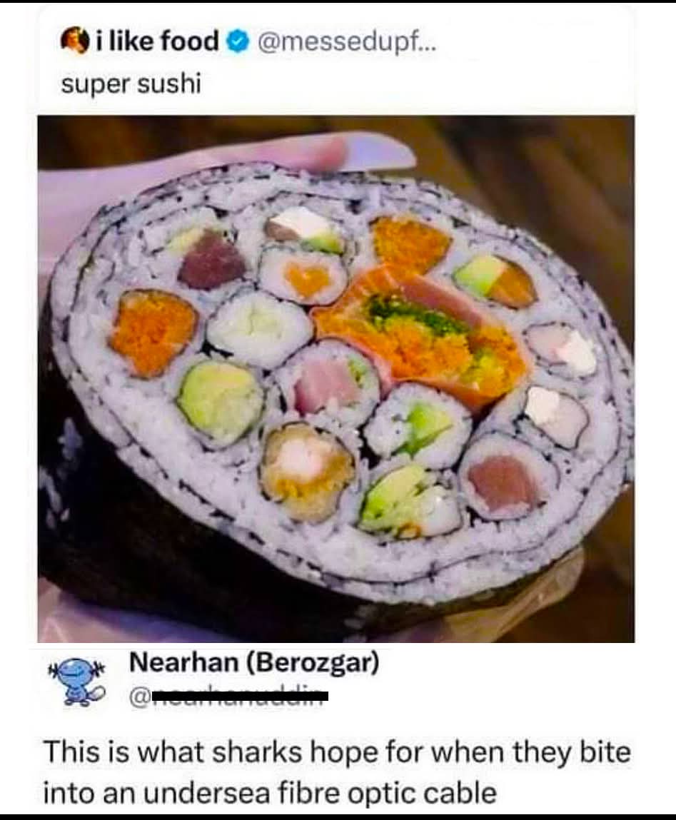 This is what sharks hope