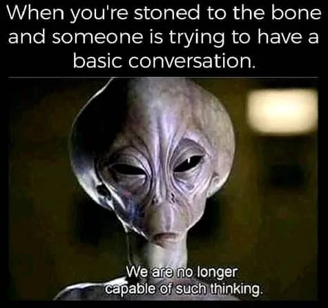 40 Stoner Memes That Will Make You Laugh All The Way To Galaxy 43 Trying to have a basic conversation
