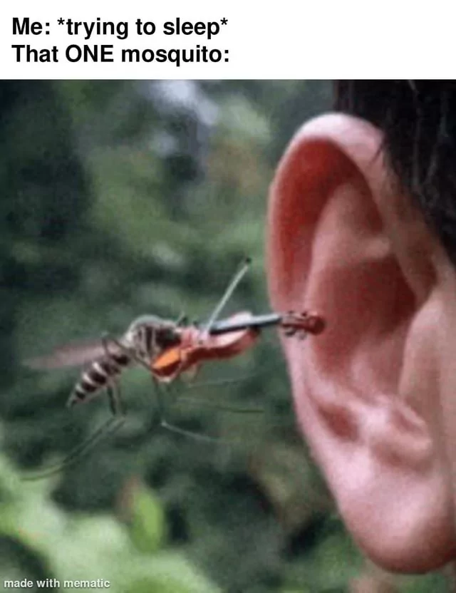 40 Mosquito Memes That Will Have You Itching with Laughter on World Mosquito Day 42 Trying to sleep