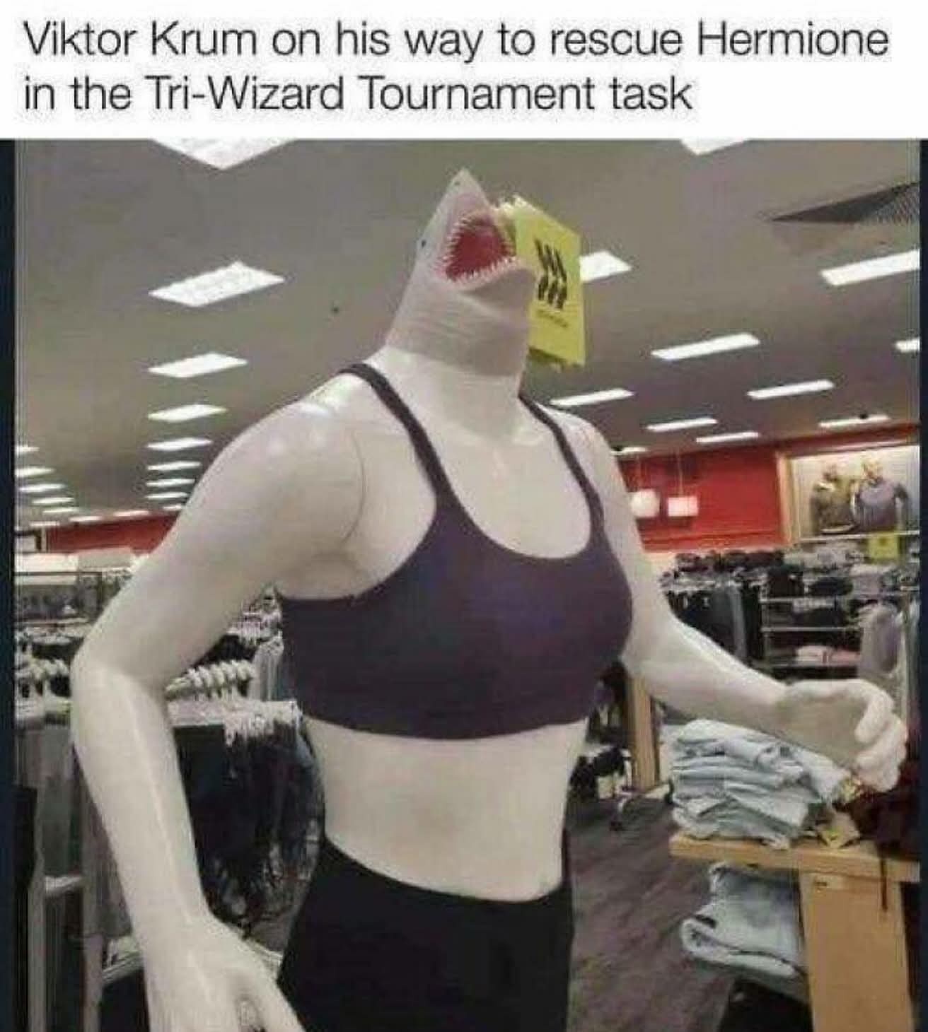 Viktor krum on his way