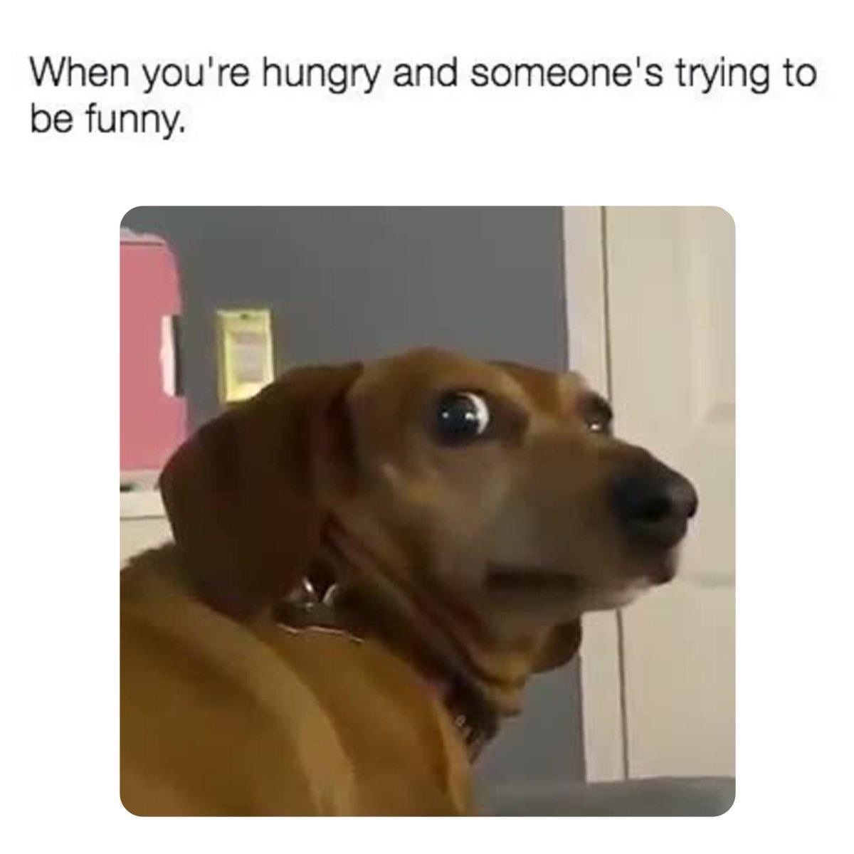 WHen youre hungry
