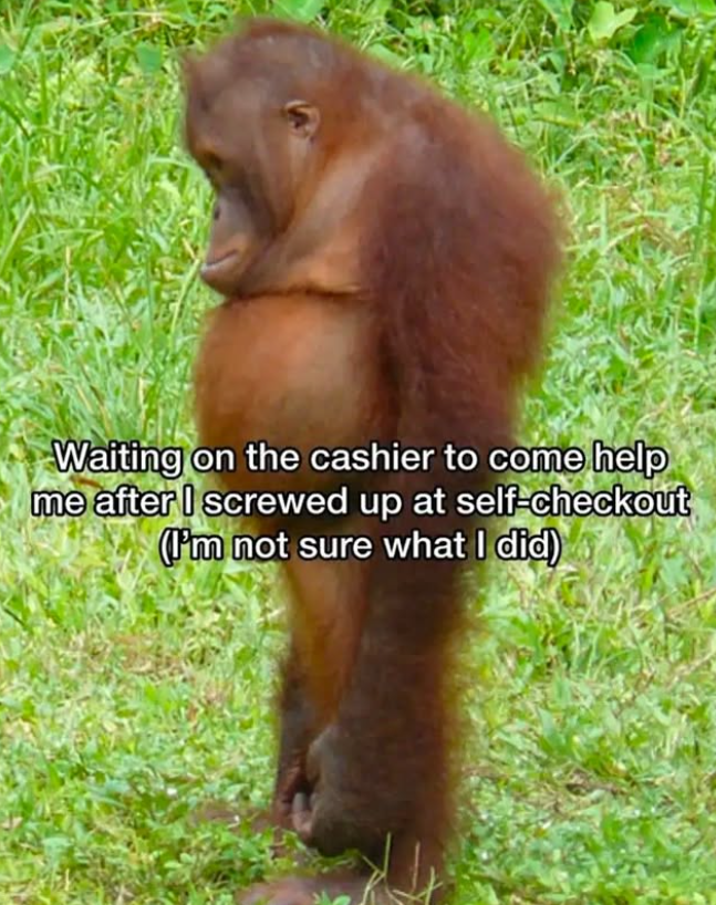 20 Orangutan Memes to Celebrate World Orangutan Day! 22 Waiting for the cashier