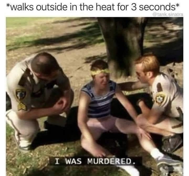 20 Memes That Only Make Sense If You Don’t Use Logic 16 Walks outside in the heat
