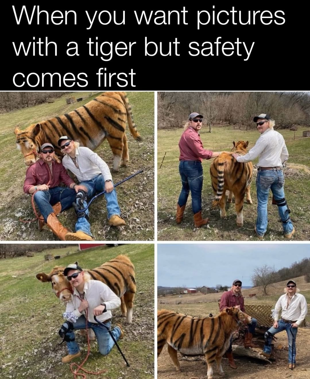 Want pictures with tiger