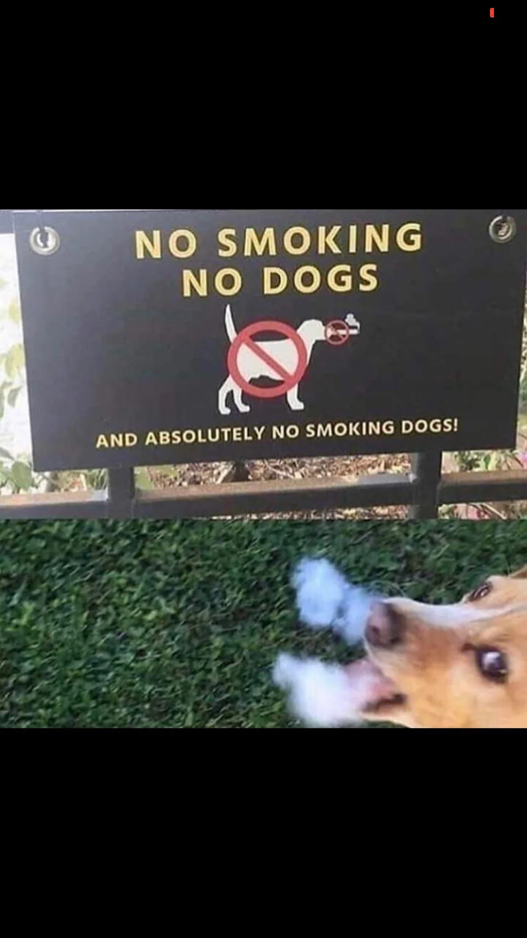 35 Comical "Breaking Rules" Memes That Shows No Respect For The Authority 37 We break the rules