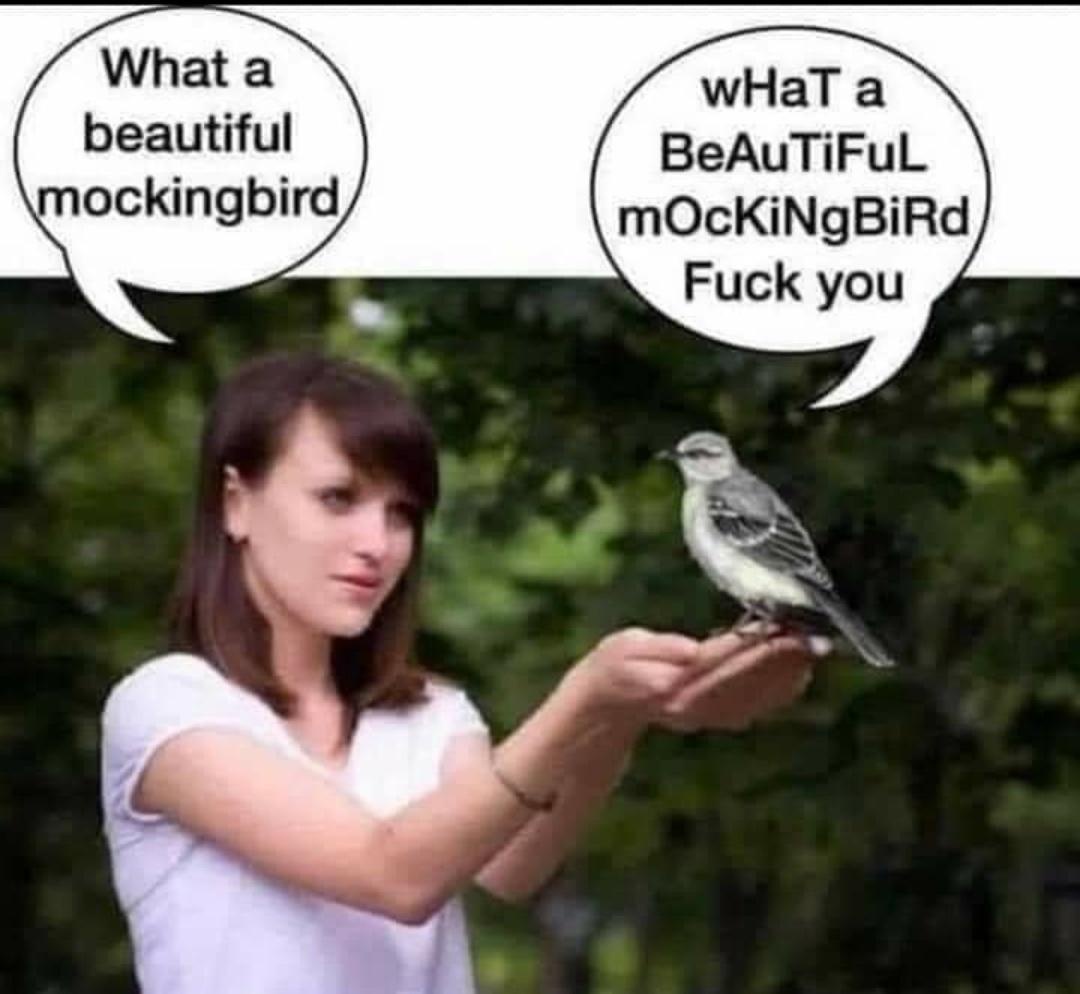 20 Memes Too Grown, Too Unhinged, and Way Too Funny 17 What a beuitiful mockingbird