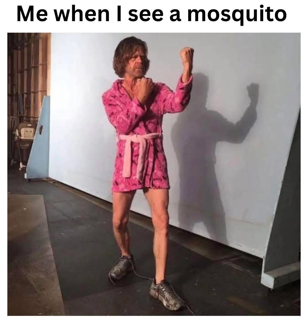 When I see mosquito