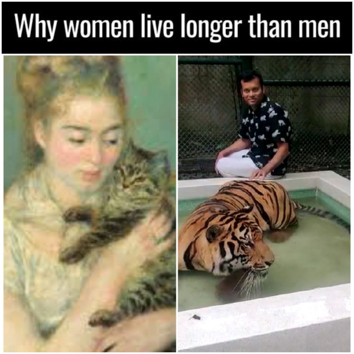 45 Epic “Why Women Live Longer Than Men Memes" 41 bathing tiger