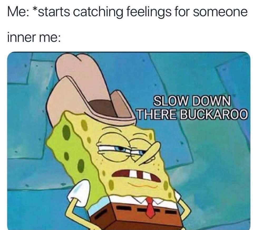 39 Dank Memes That Are So Dank, They Should Be Illegal 38 cat feelings