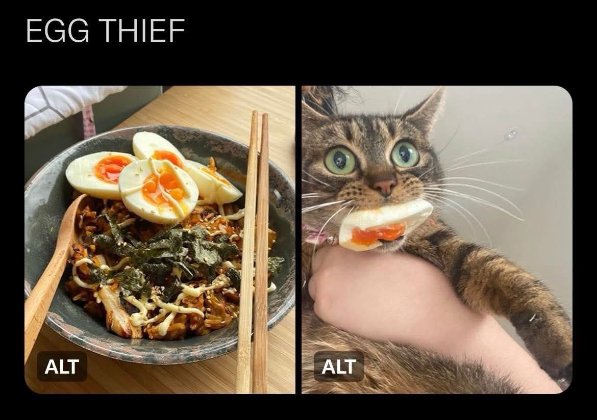egg thief