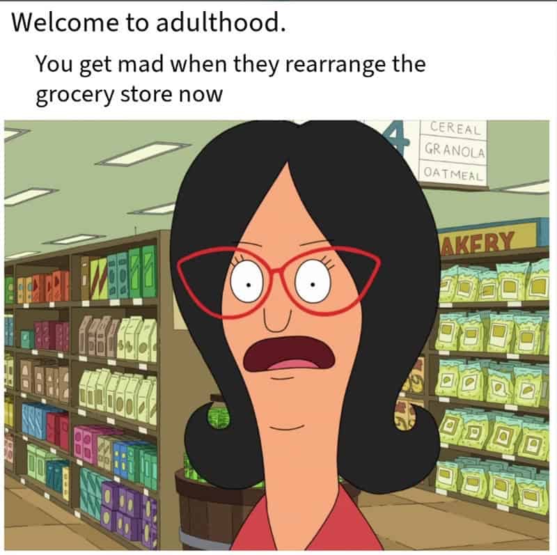 45 Funny Memes That Prove Adulting Is Hard 44 elcome to adulthood