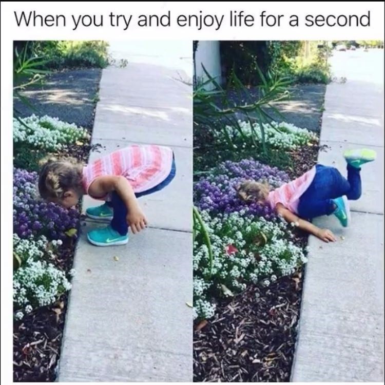 45 Funniest Life Sucks Memes That Will Make You Feel Better 44 enjoy life for a second