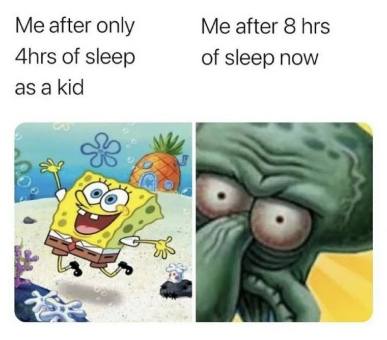 20 Memes That Make Zero Sense but 100% Happiness 4 fter 4 hours