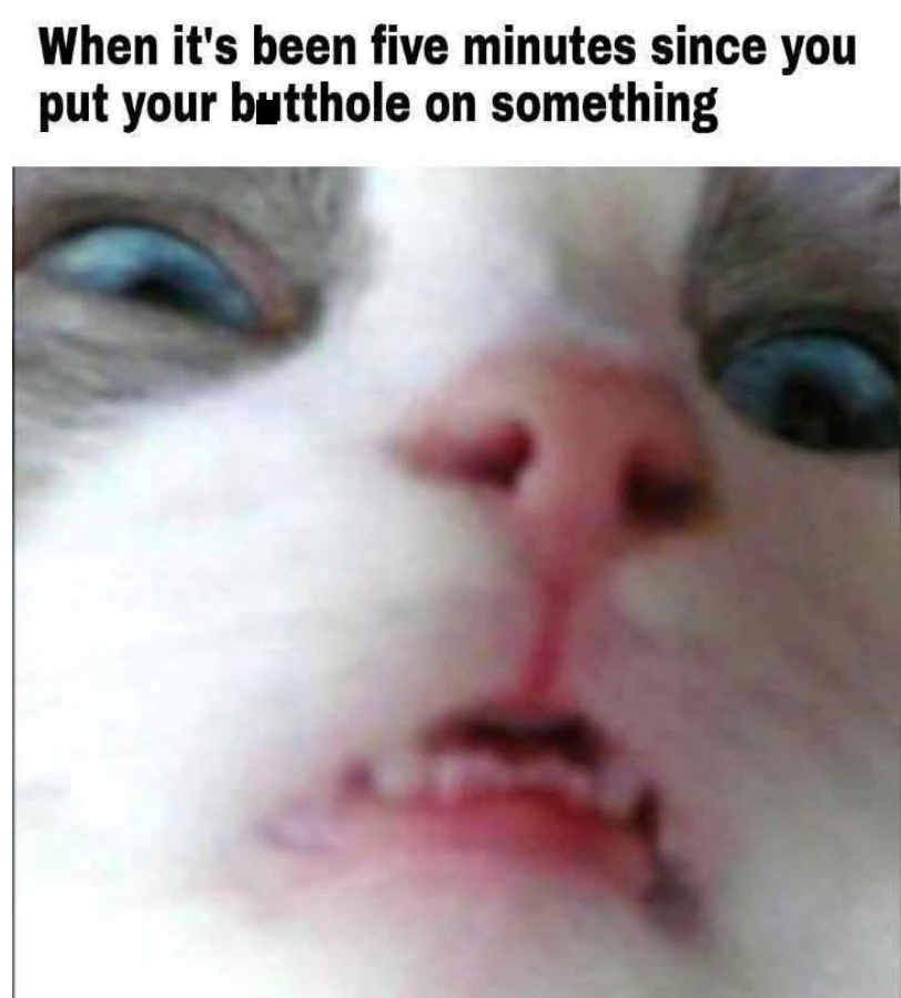 hen its been 5 minutes