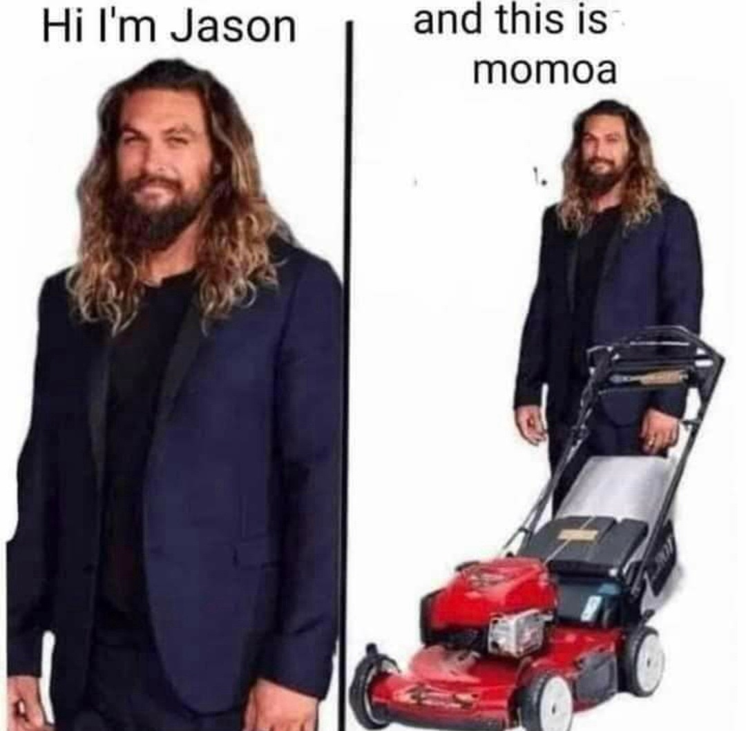 25 Memes That Could Win a Fight Against Logic 22 jason momoa