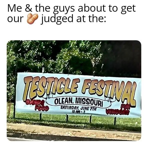 25 Memes That Exist Somewhere Between “Why?” and “Sure.” 24 me and the guys