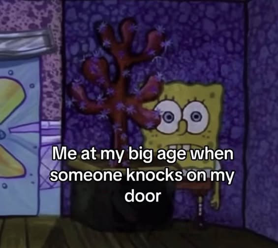 35 Painfully Relatable Memes for the Regular Joe 36 me at my big age