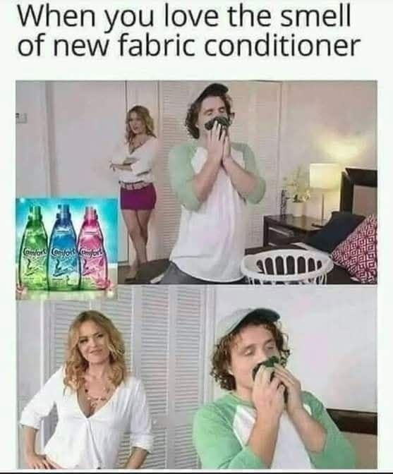 25 Memes Too Grown-Up for Daylight and Too Unhinged for Logic 22 new fabric