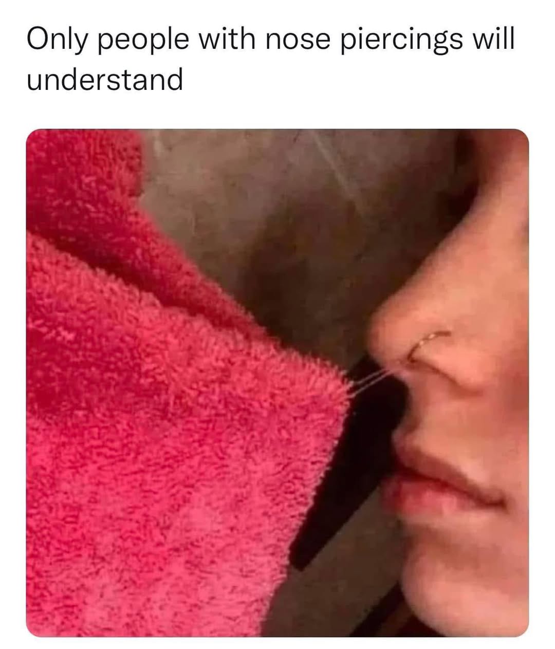 30 Brutally Relatable Memes That Tell It Like It Is 27 people with nose piercing
