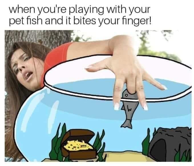 playing with pet fish