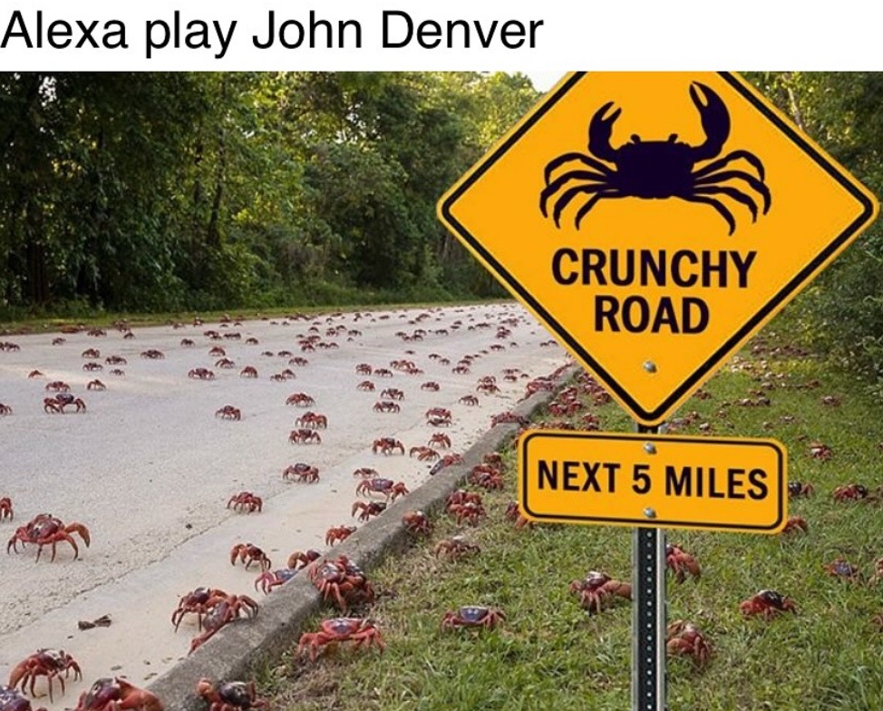 20 Memes That Make Zero Sense but 100% Happiness 14 runchy road