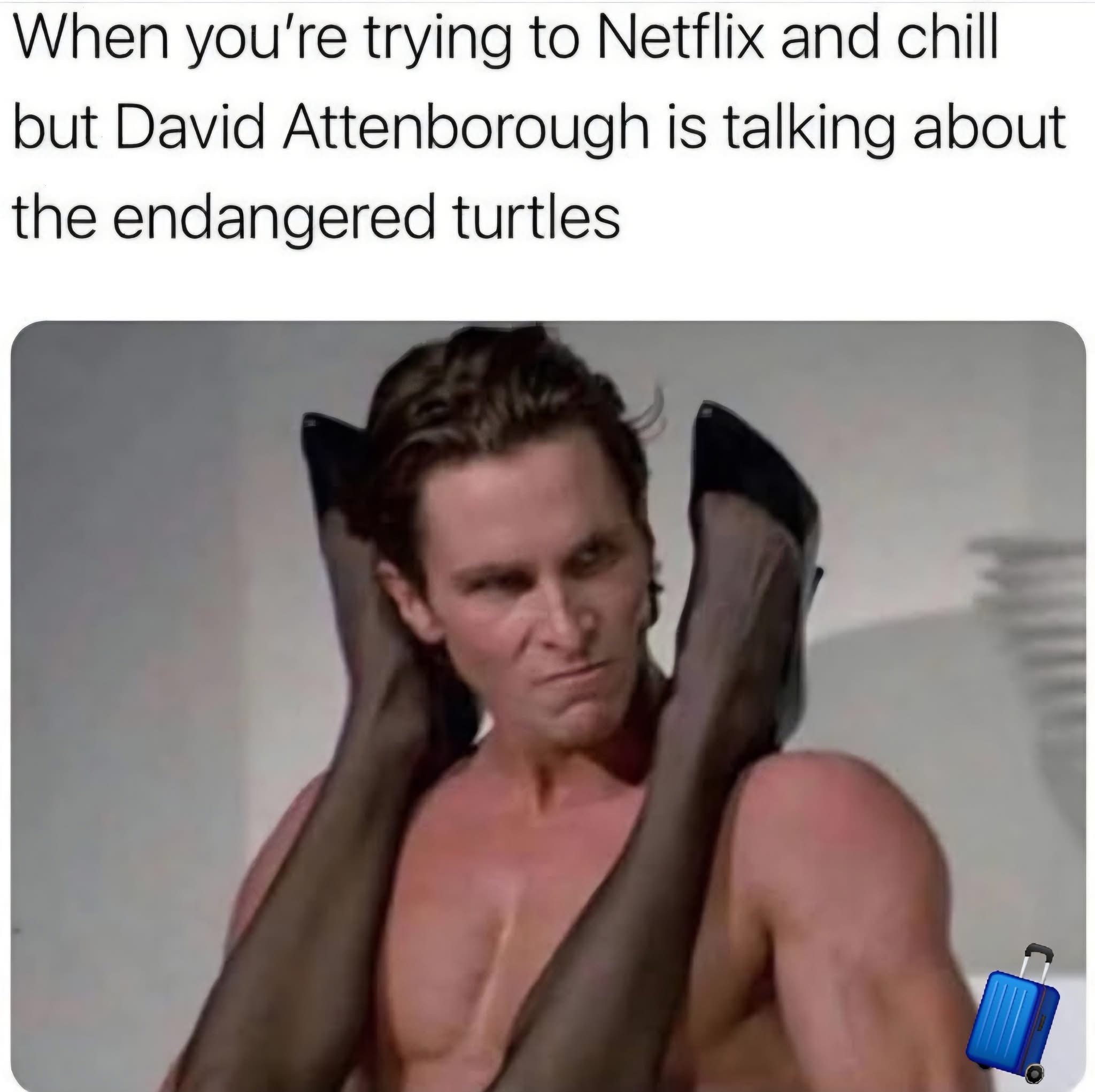 20 Memes Hotter Than Your Crush’s Summer Vacation Pics 16 ryingt o netflix and chill
