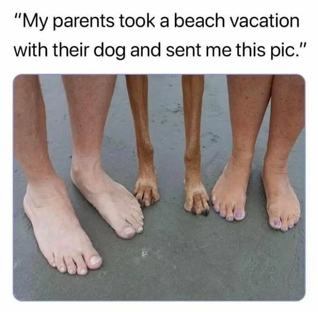 35 Hilarious Vacation Memes That Are Way Too Precise 37 took a beach vacation