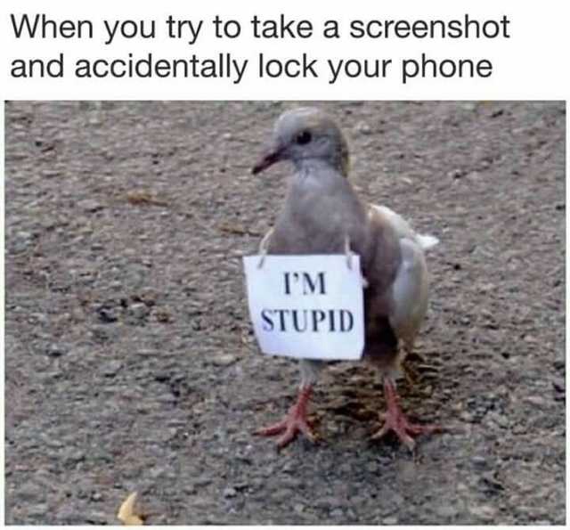 try to take a screen shot