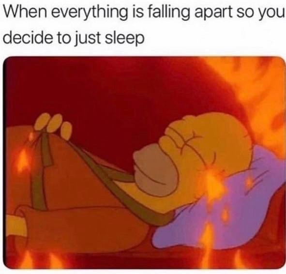 20 Memes That Make Zero Sense but 100% Happiness 17 verything is falling apart