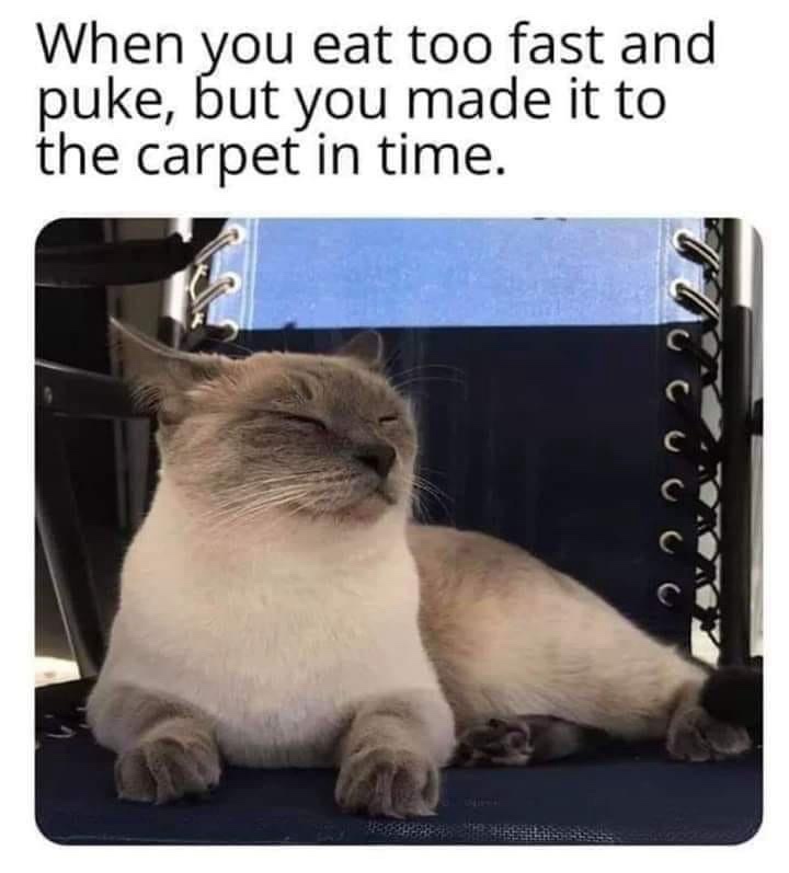 when you eat too fast